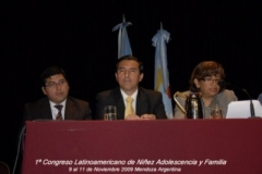 i_congreso_146_20100828_1250205482